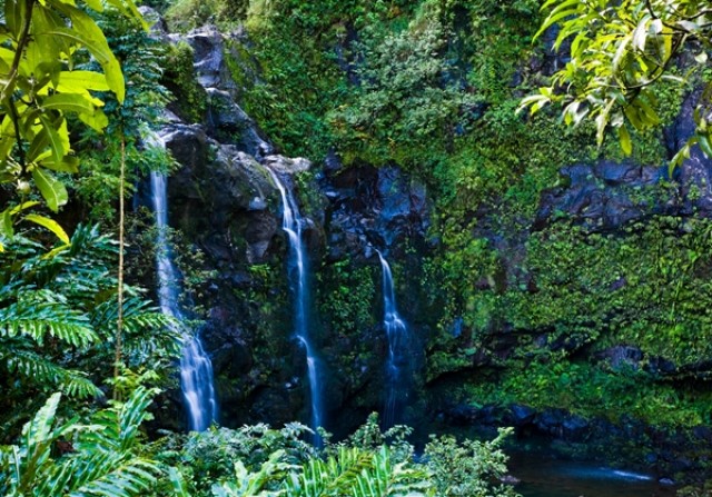 Full day Hana waterfall and rainforest hike, see a spectacular Maui