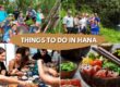 Things to Do in Hana