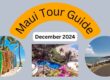 Maui Tour Guide