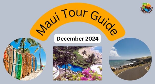 Maui Tour Guide