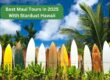 Best Maui Tours