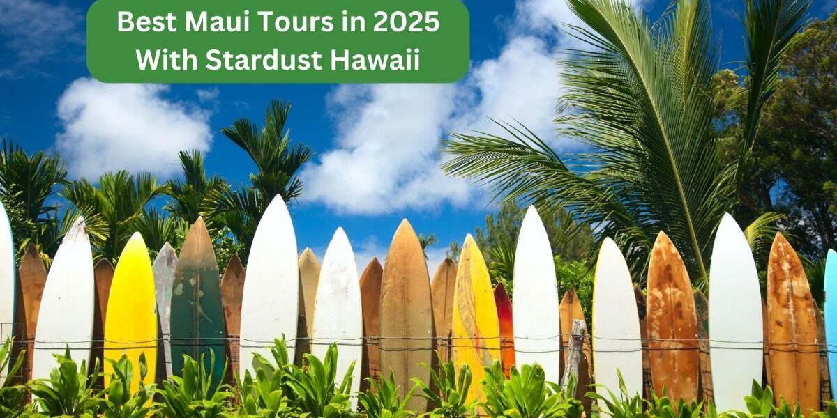 Best Maui Tours