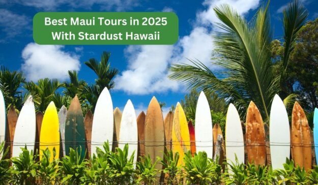 Best Maui Tours